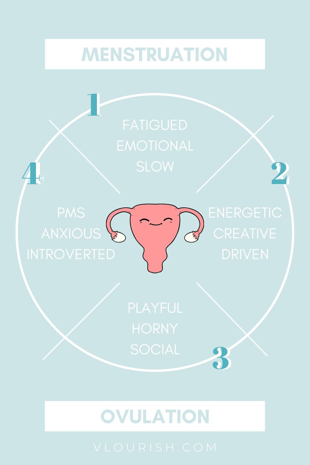 Phases Of The Menstrual Cycle How They Affect Your Energy Mood Life