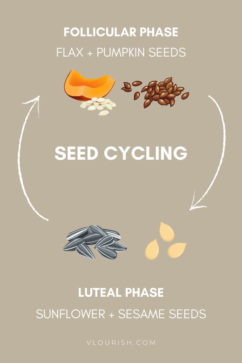 seed cycling 