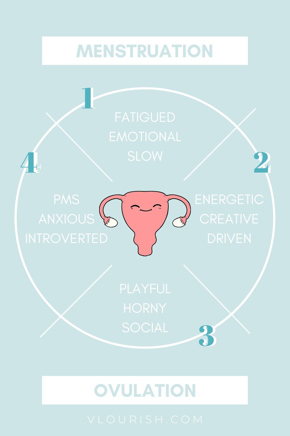 4 phases of the menstrual cycle