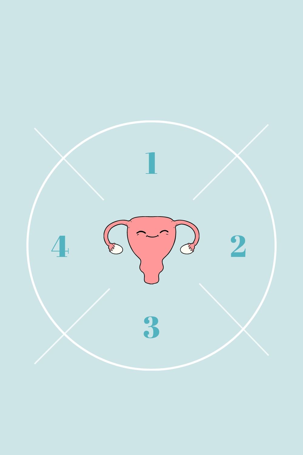 4 phases du cycle menstruel 4 phases du cycle menstruel