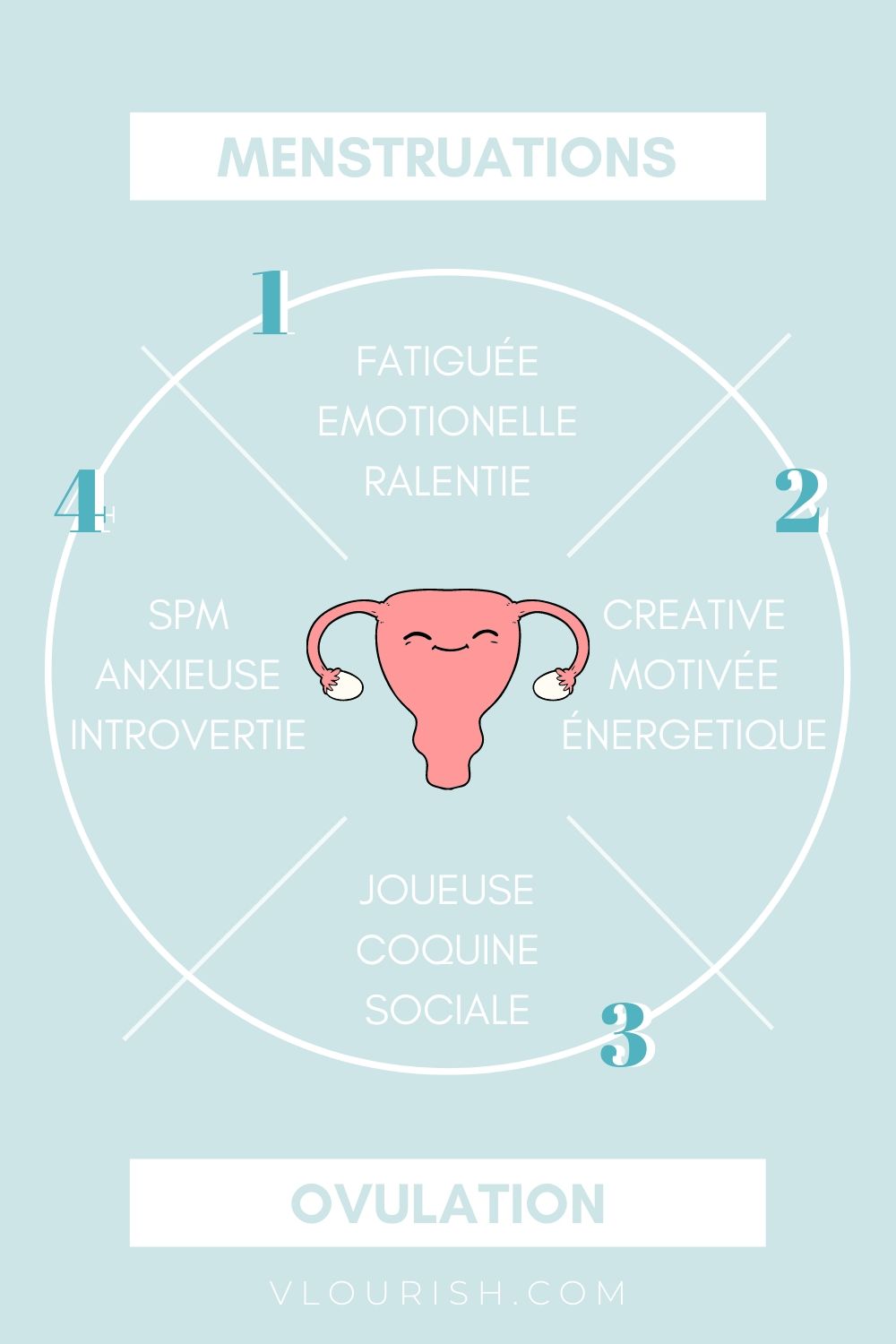4 phases du cycle menstruel
