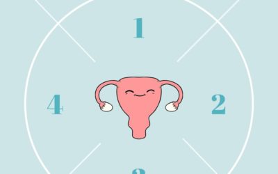 4 Phases of the Menstrual Cycle: How they affect your energy, mood & life
