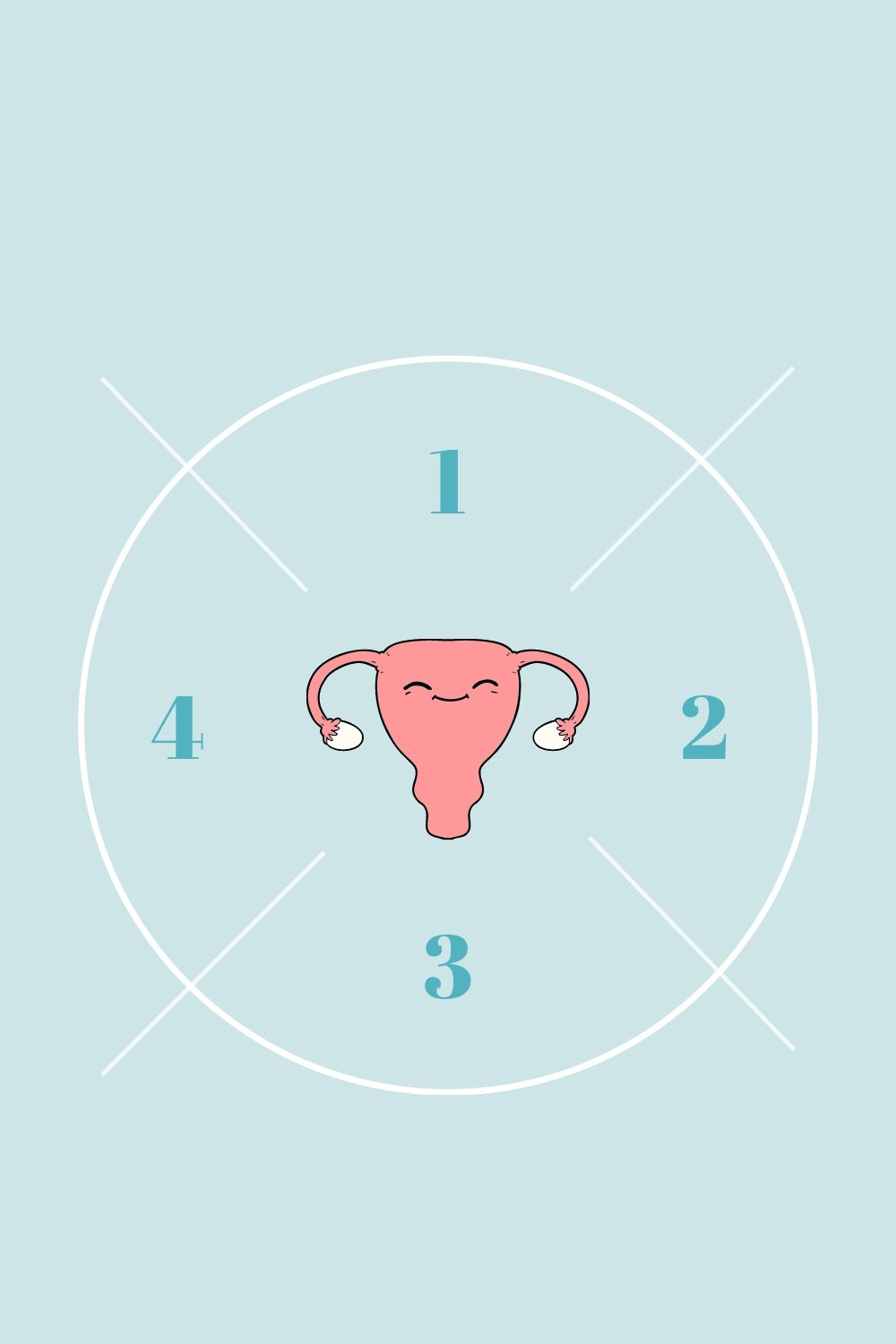 4 phases of the menstrual cycle
