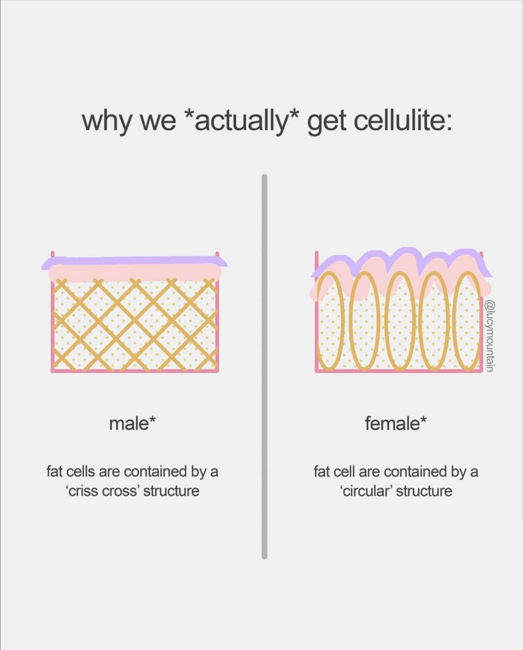 learn to love your cellulite