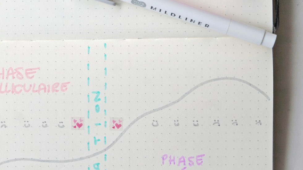 Luteal Phase How to calculate, understand & optimize it